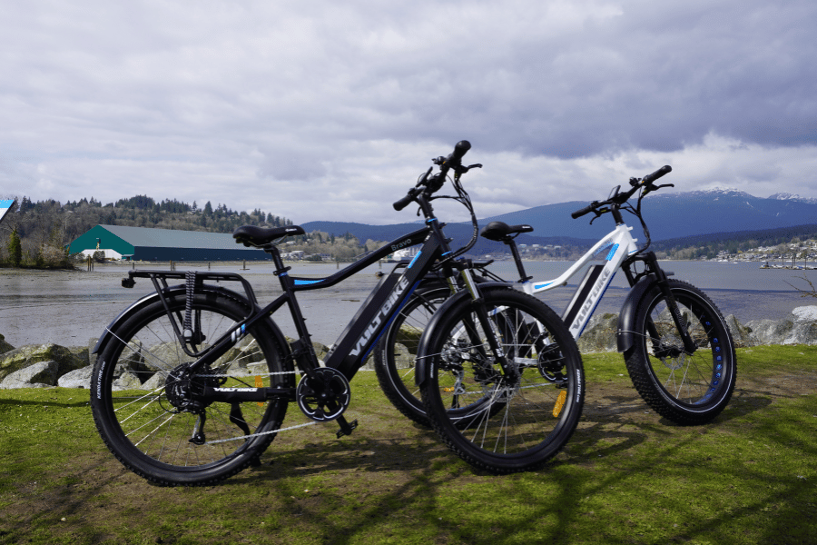 port moody Ebike Rental