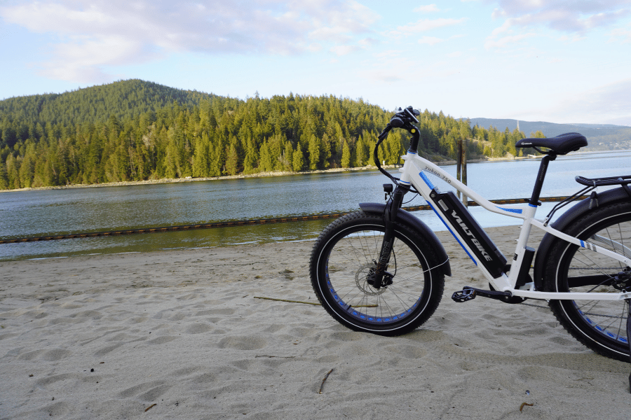 coquitlam ebike rental