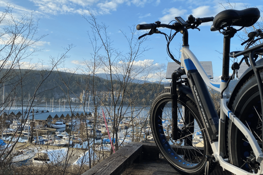 burnaby e bike rental